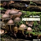 Mr Kaidzu - Mushrooms